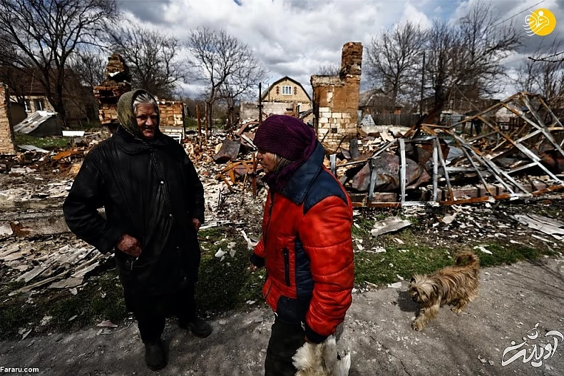 (تصاویر) داستان پیرزن اوکراینی و مرغهایش